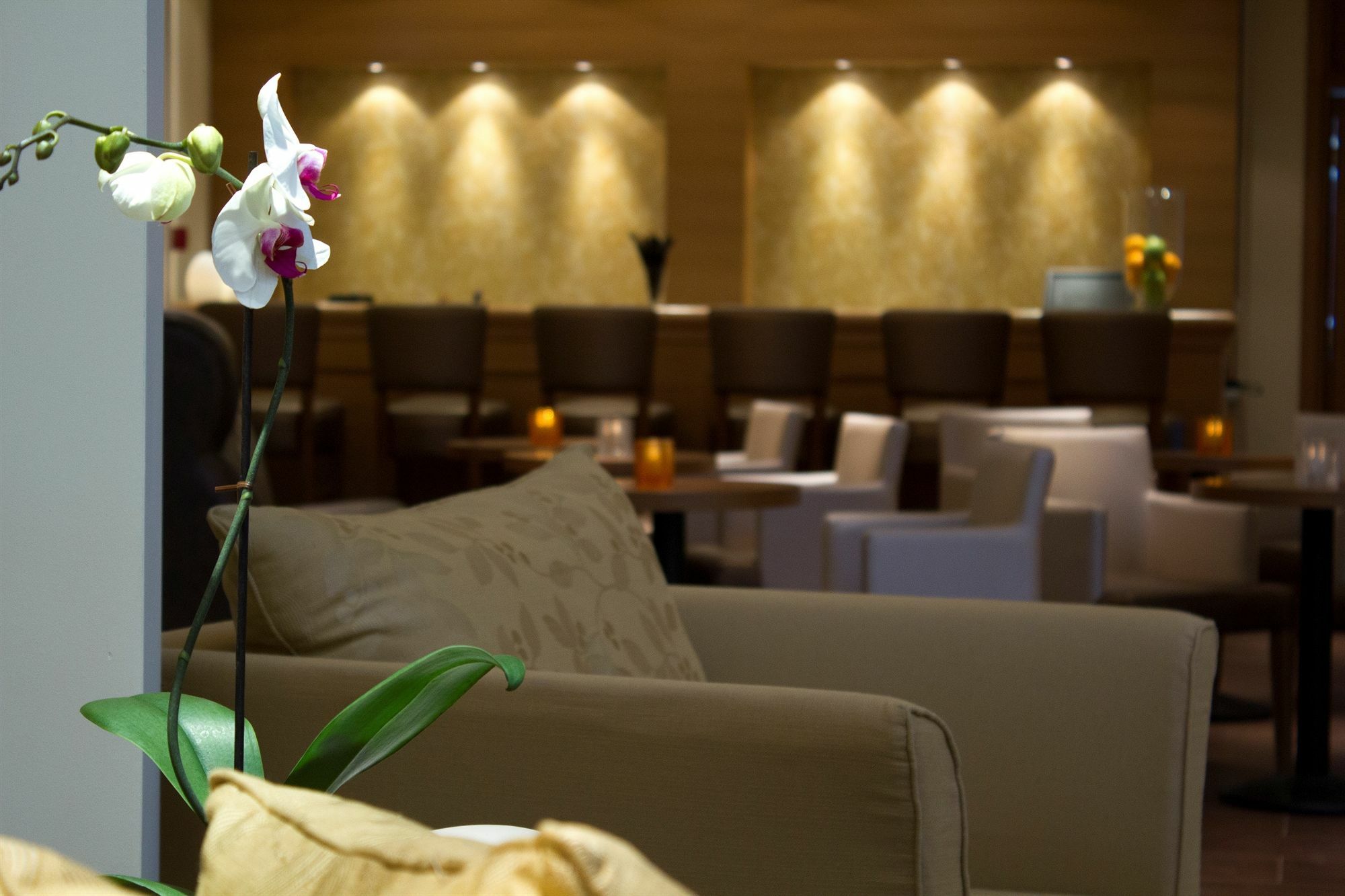 Tripoli City Hotel Екстер'єр фото
